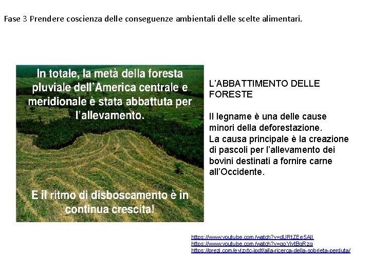 Fase 3 Prendere coscienza delle conseguenze ambientali delle scelte alimentari. L’ABBATTIMENTO DELLE FORESTE Il Fase 3 Prendere coscienza delle conseguenze ambientali delle scelte alimentari. L’ABBATTIMENTO DELLE FORESTE Il