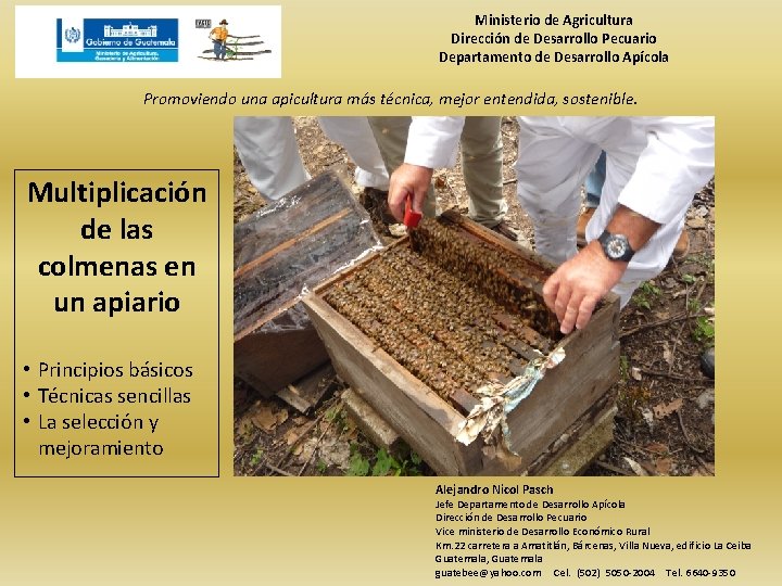 Ministerio de Agricultura Dirección de Desarrollo Pecuario Departamento de Desarrollo Apícola Promoviendo una apicultura