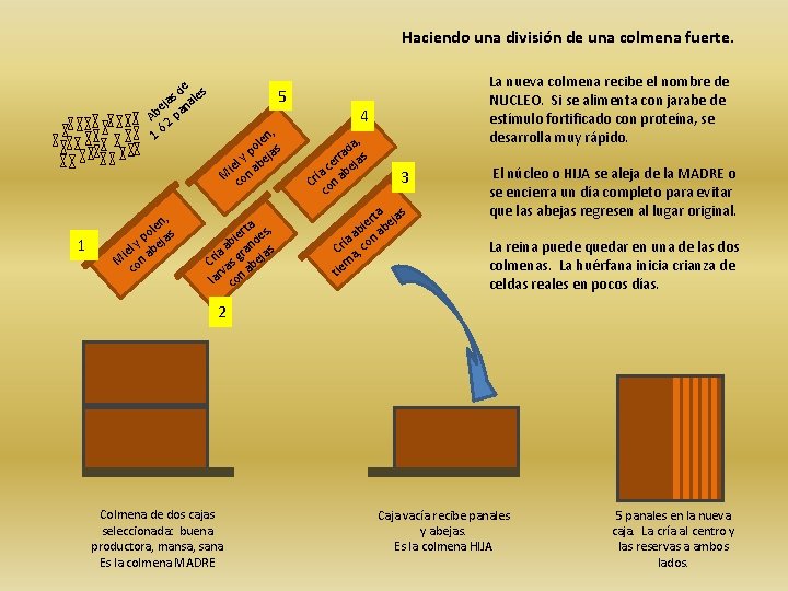  e d les s eja na Ab 2 pa 1 ó 1 ,