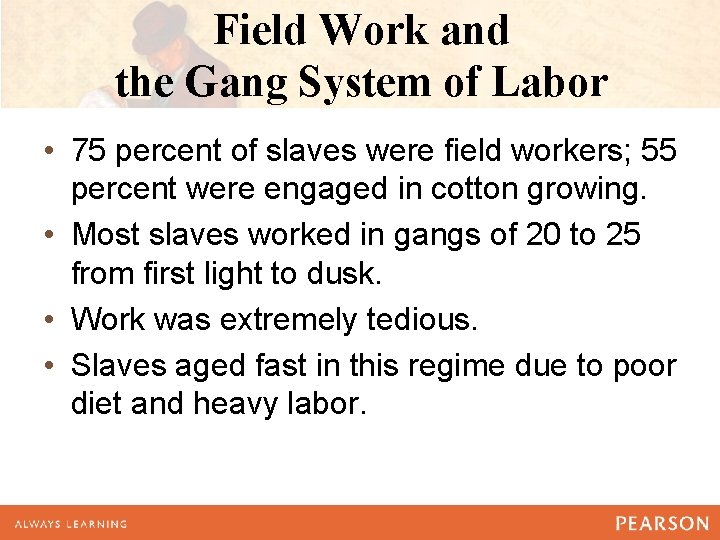 Field Work and the Gang System of Labor • 75 percent of slaves were