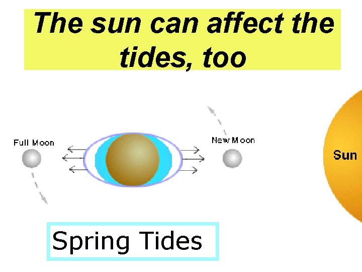 The sun can affect the tides, too Spring Tides 