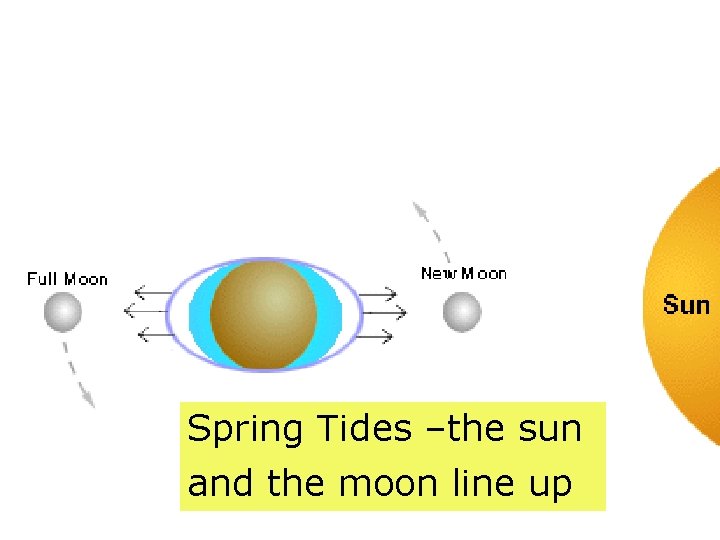 Spring Tides –the sun and the moon line up 