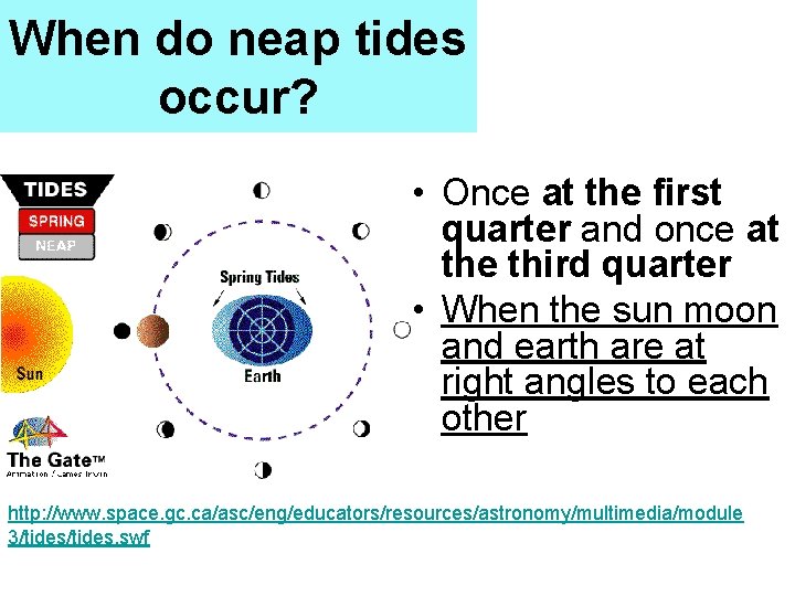When do neap tides occur? • Once at the first quarter and once at