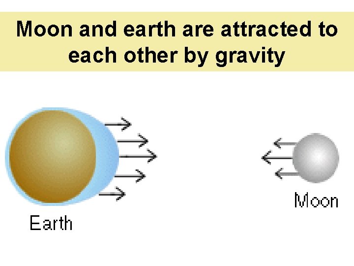 Moon and earth are attracted to each other by gravity 