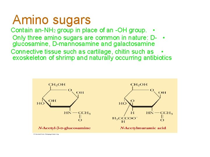 Amino sugars Contain an-NH 2 group in place of an -OH group. • Only