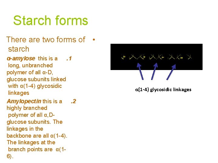 Starch forms There are two forms of • starch α-amylose this is a .
