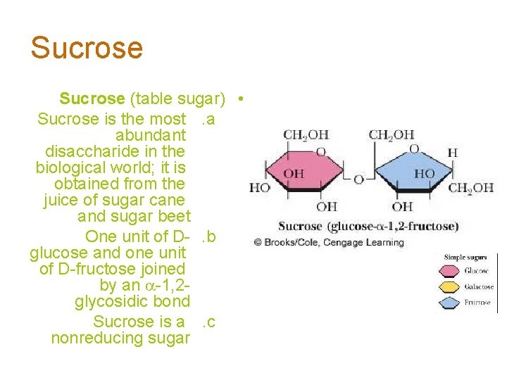 Sucrose (table sugar) • Sucrose is the most . a abundant disaccharide in the