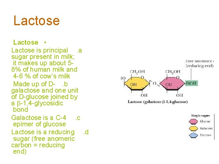 Lactose • Lactose is principal . a sugar present in milk; it makes up
