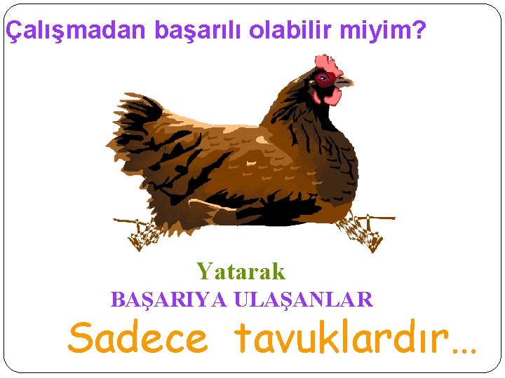 Çalışmadan başarılı olabilir miyim? Yatarak BAŞARIYA ULAŞANLAR Sadece tavuklardır… 