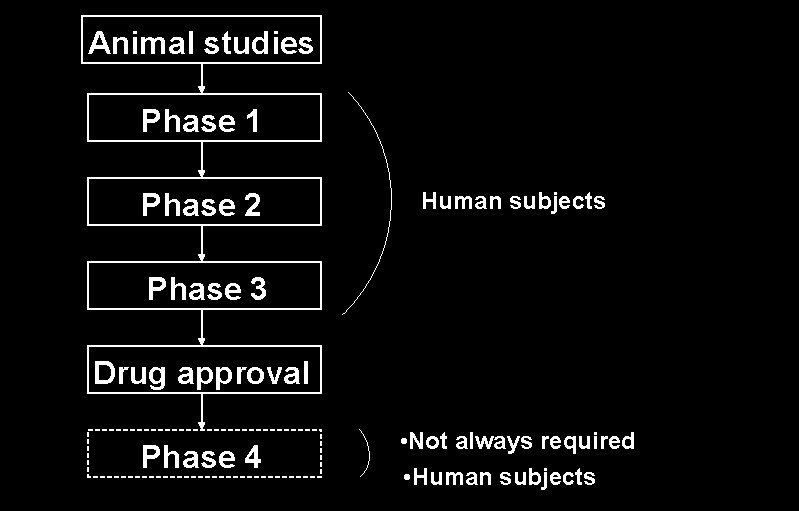 Animal studies Phase 1 Phase 2 Human subjects Phase 3 Drug approval Phase 4