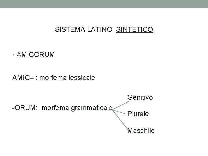 SISTEMA LATINO: SINTETICO • AMICORUM AMIC– : morfema lessicale Genitivo -ORUM: morfema grammaticale Plurale