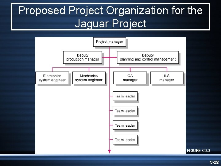 Proposed Project Organization for the Jaguar Project FIGURE C 3. 3 3 -28 