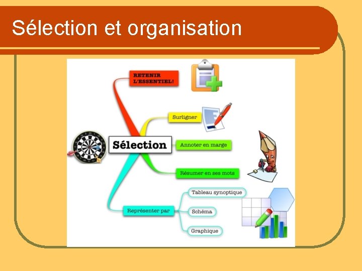 Sélection et organisation 