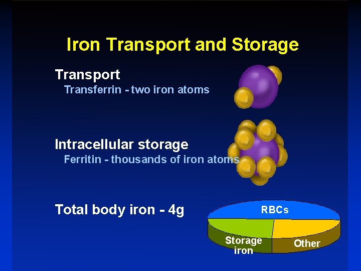 Iron Transport and Storage Transport Transferrin - two iron atoms Intracellular storage Ferritin -