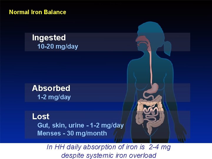 Normal Iron Balance Ingested 10 -20 mg/day Absorbed 1 -2 mg/day Lost Gut, skin,