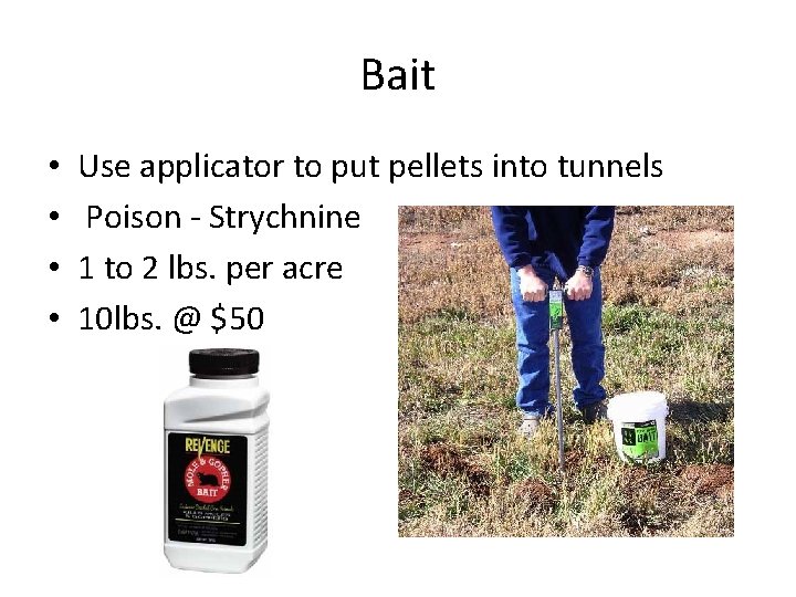 Bait • • Use applicator to put pellets into tunnels Poison - Strychnine 1