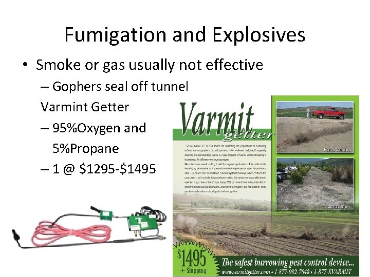 Fumigation and Explosives • Smoke or gas usually not effective – Gophers seal off