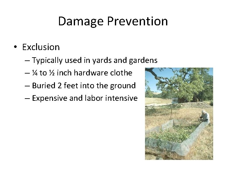 Damage Prevention • Exclusion – Typically used in yards and gardens – ¼ to