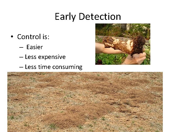 Early Detection • Control is: – Easier – Less expensive – Less time consuming