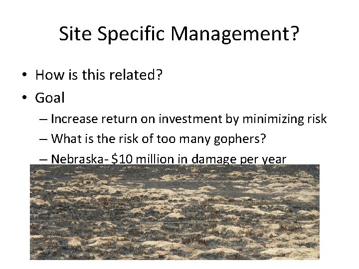 Site Specific Management? • How is this related? • Goal – Increase return on