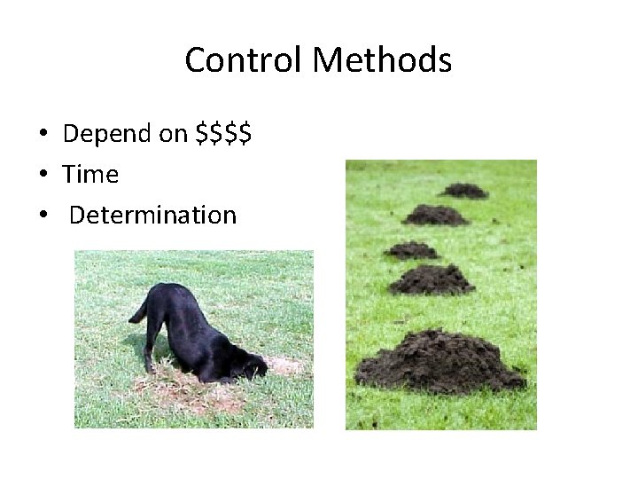 Control Methods • Depend on $$$$ • Time • Determination 