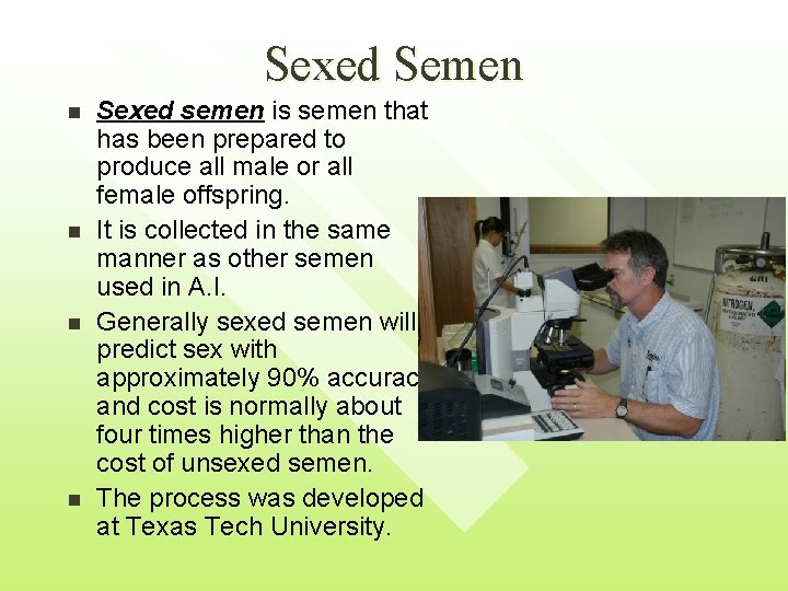 Sexed Semen n n Sexed semen is semen that has been prepared to produce