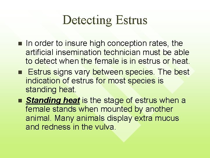 Detecting Estrus n n n In order to insure high conception rates, the artificial