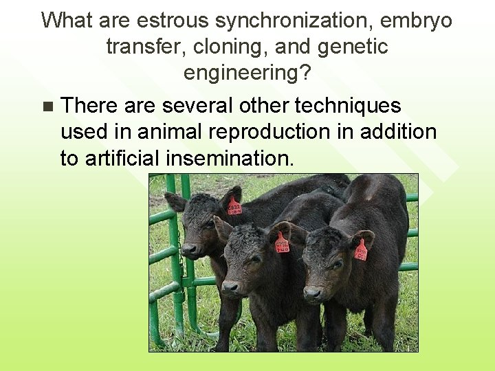 What are estrous synchronization, embryo transfer, cloning, and genetic engineering? n There are several