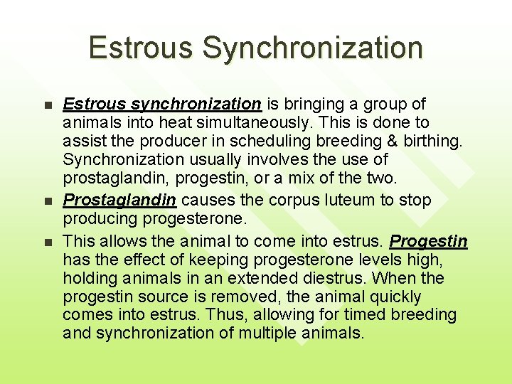 Estrous Synchronization n Estrous synchronization is bringing a group of animals into heat simultaneously.