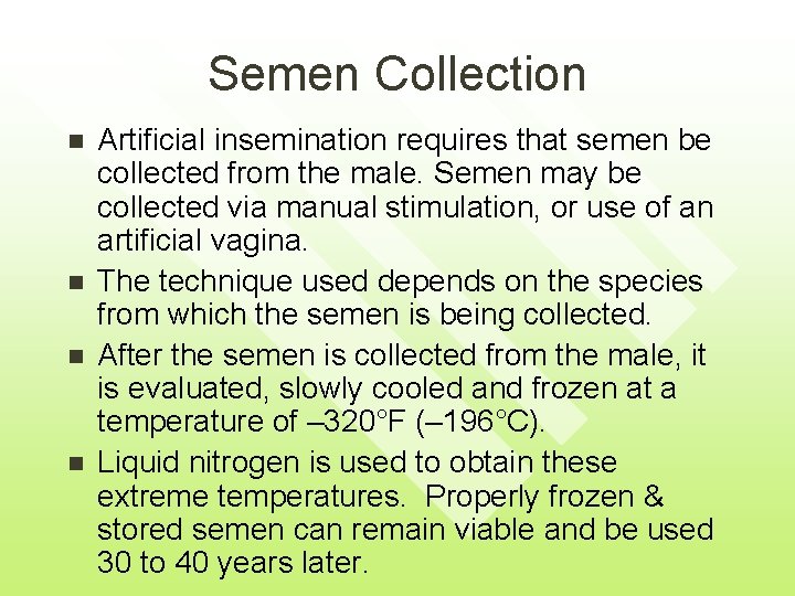 Semen Collection n n Artificial insemination requires that semen be collected from the male.