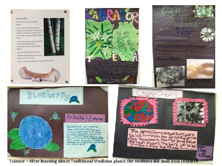 Science – After learning about Traditional Medicine plants the students did their own research