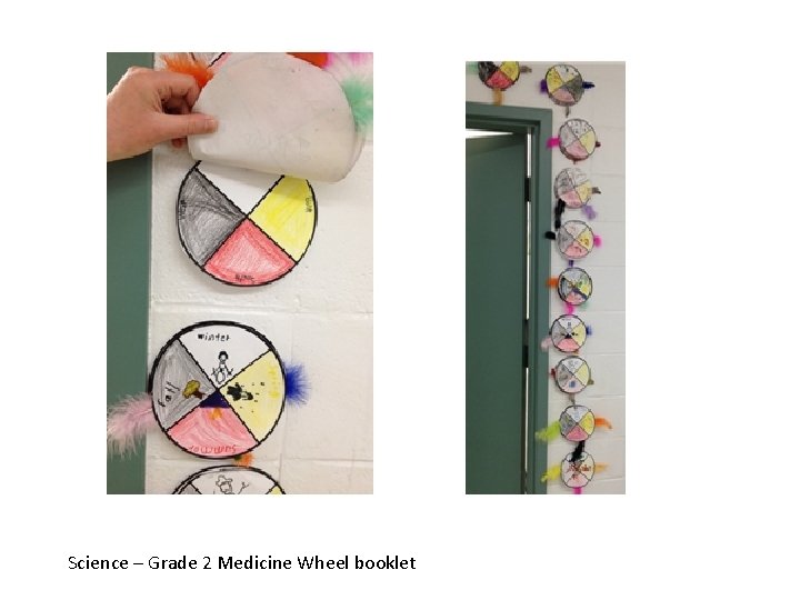 Science – Grade 2 Medicine Wheel booklet 