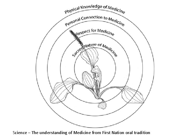 Science – The understanding of Medicine from First Nation oral tradition 