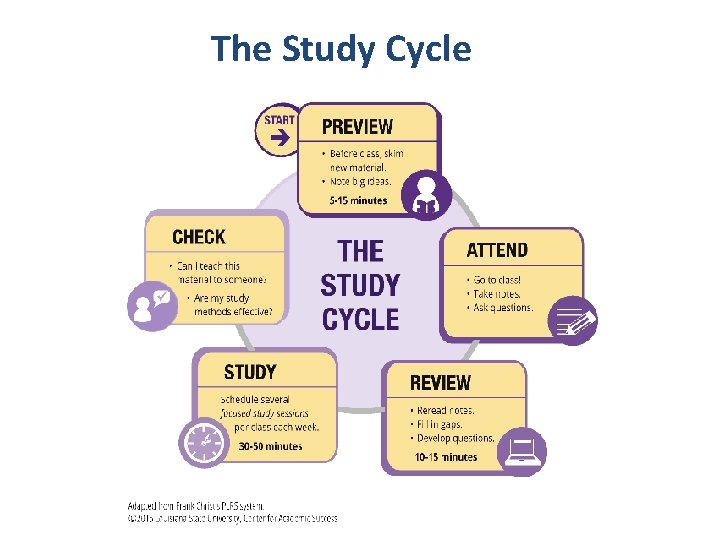 The Study Cycle 