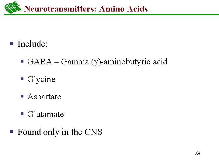 Neurotransmitters: Amino Acids § Include: § GABA – Gamma ( )-aminobutyric acid § Glycine