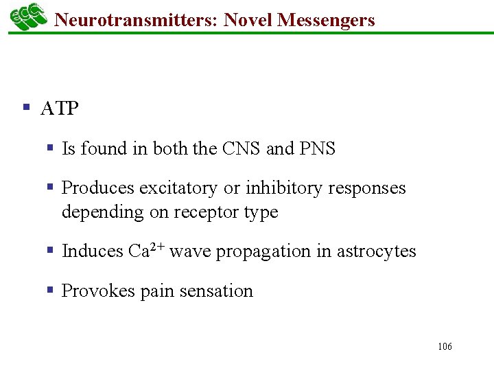 Neurotransmitters: Novel Messengers § ATP § Is found in both the CNS and PNS