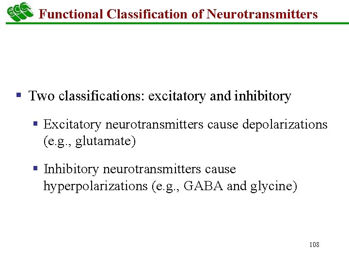 Functional Classification of Neurotransmitters § Two classifications: excitatory and inhibitory § Excitatory neurotransmitters cause