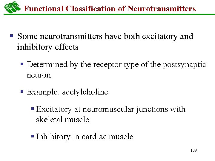 Functional Classification of Neurotransmitters § Some neurotransmitters have both excitatory and inhibitory effects §
