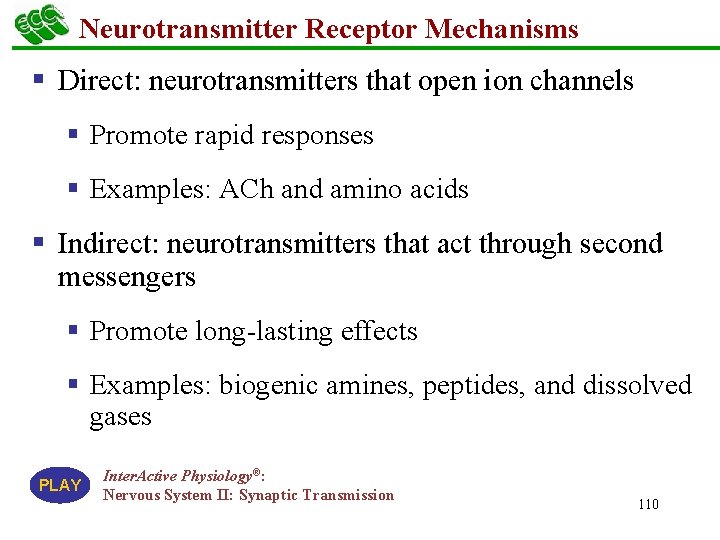 Neurotransmitter Receptor Mechanisms § Direct: neurotransmitters that open ion channels § Promote rapid responses