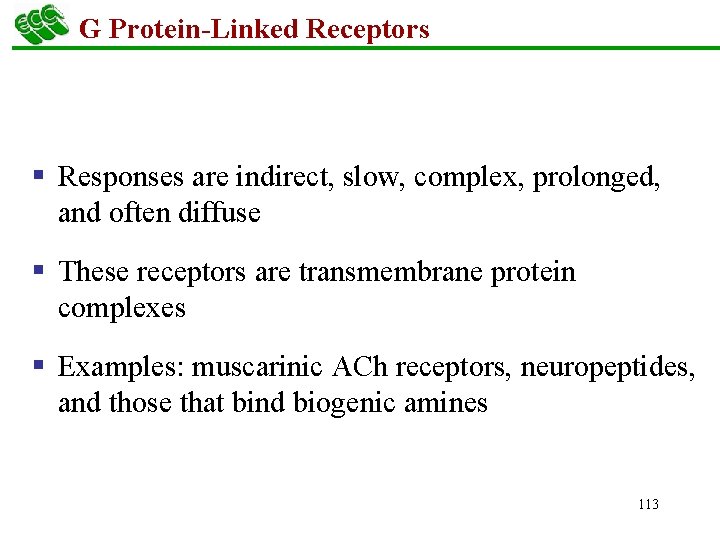 G Protein-Linked Receptors § Responses are indirect, slow, complex, prolonged, and often diffuse §