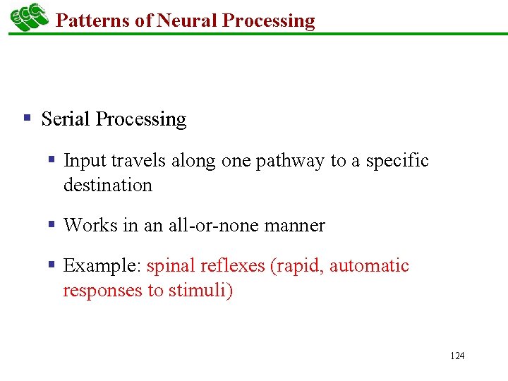 Patterns of Neural Processing § Serial Processing § Input travels along one pathway to