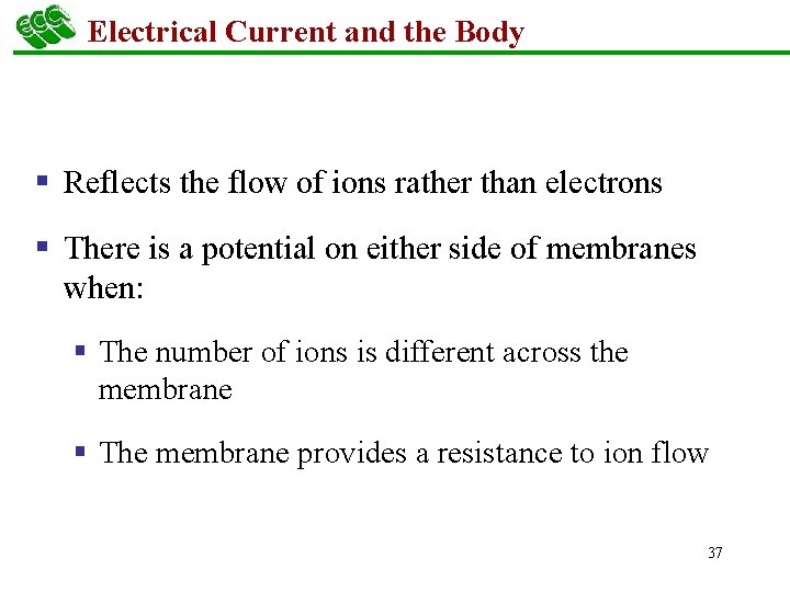 Electrical Current and the Body § Reflects the flow of ions rather than electrons