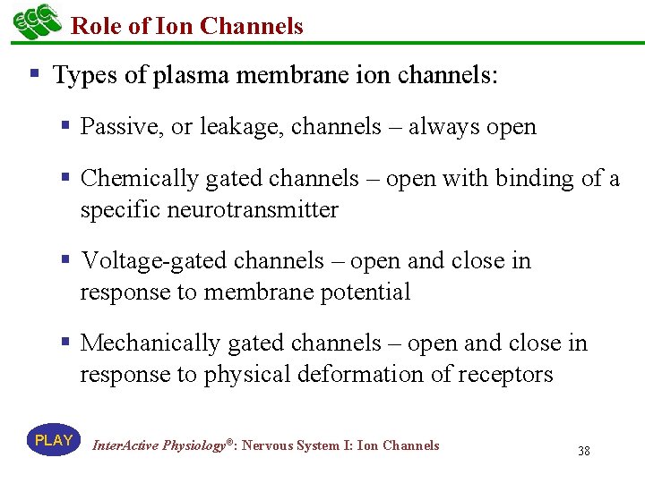 Role of Ion Channels § Types of plasma membrane ion channels: § Passive, or