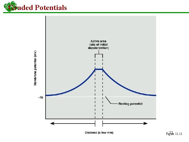 Graded Potentials 53 11. 11 Figure 