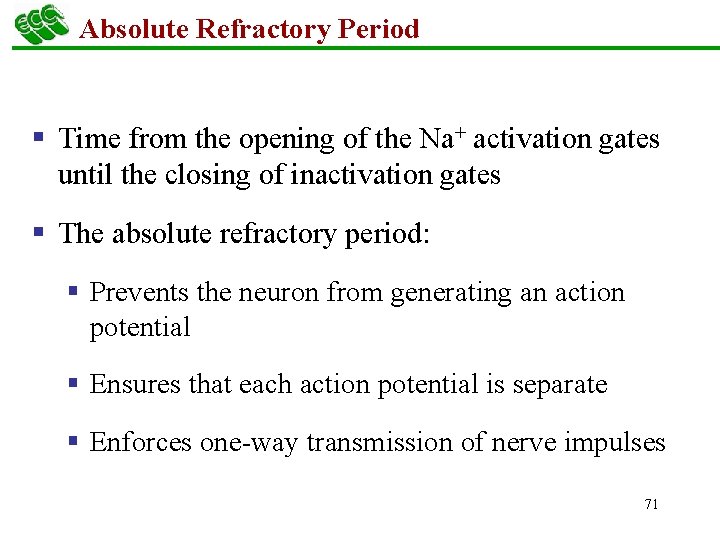 Absolute Refractory Period § Time from the opening of the Na+ activation gates until