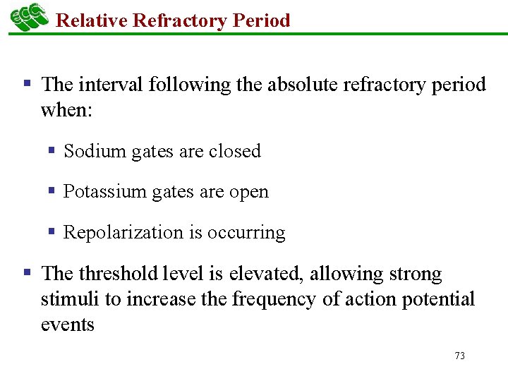 Relative Refractory Period § The interval following the absolute refractory period when: § Sodium