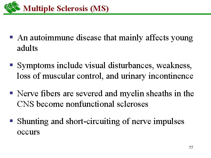 Multiple Sclerosis (MS) § An autoimmune disease that mainly affects young adults § Symptoms