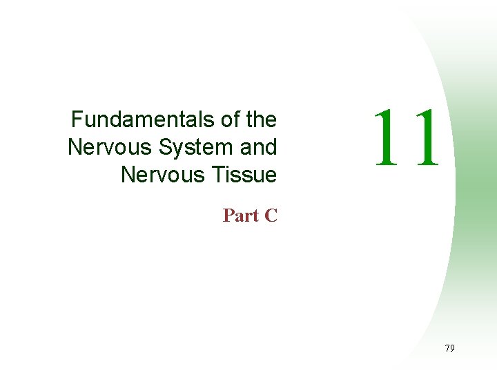 Fundamentals of the Nervous System and Nervous Tissue 11 Part C 79 