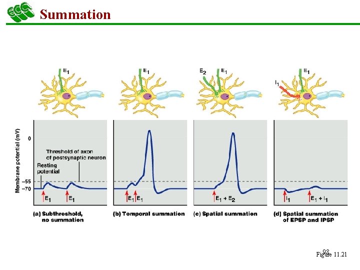 Summation 98 11. 21 Figure 