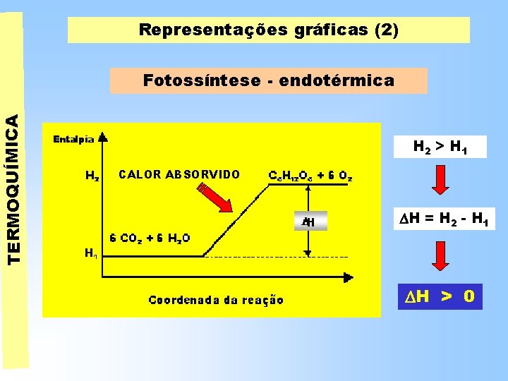 TERMOQUÍMICA Representações gráficas (2) Fotossíntese - endotérmica H 2 > H 1 CALOR ABSORVIDO TERMOQUÍMICA Representações gráficas (2) Fotossíntese - endotérmica H 2 > H 1 CALOR ABSORVIDO